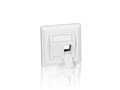 Equip-761303-Face-Plate-80x80-for-2-Keystone-Jacks-w.-insert-&amp;-frame-pure-white